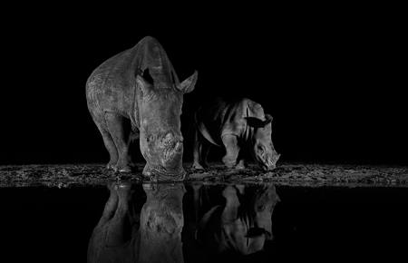 Protected In The Dark