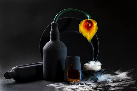 SOLITARY YELLOW BLOOM  9M2A8338