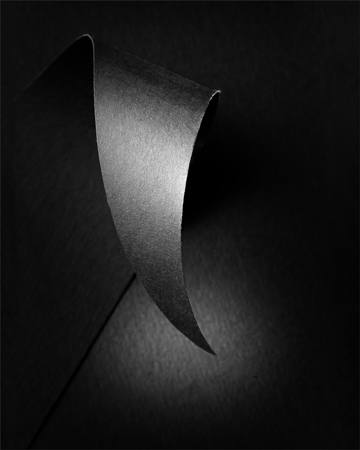 Beauty Of Black No 1