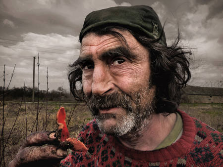 Julius And The Fungus