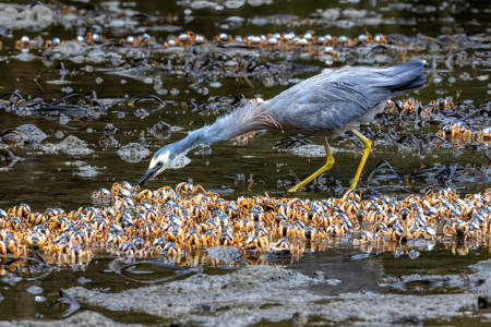 There For The Taking