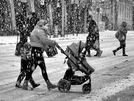 In Snowfall With Children