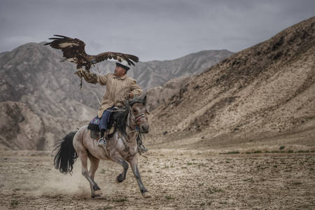 Falconry In Xinjiang