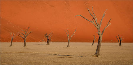 Deadvlei