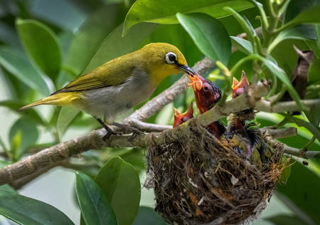 Baby Your Favorite Food