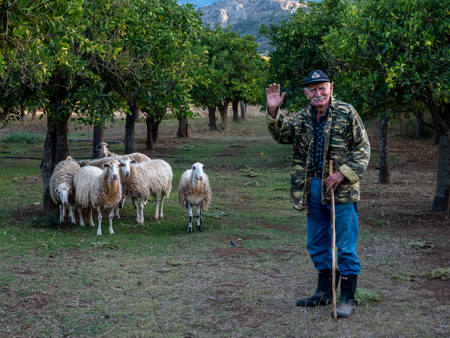 Farewell To The Old Shepherd