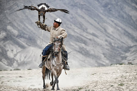 The Falconer And His Eagle