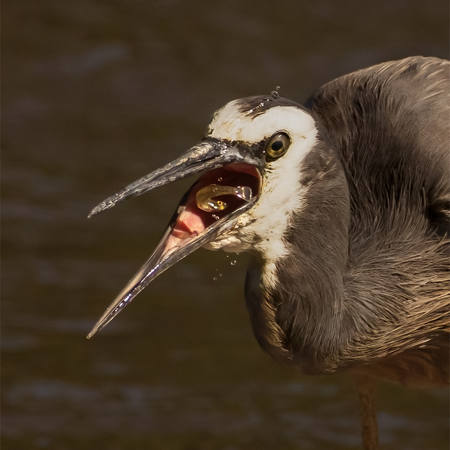 This Isn't What I Signed Up For.