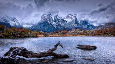 Majestic Torres Del Paine