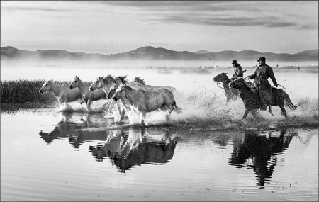 Horses In Water 94