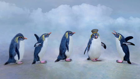 The Useless Tour Guide