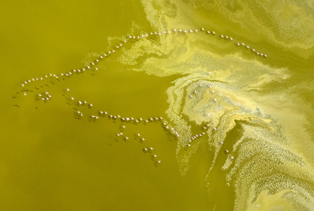 Lake Magadi Abstract