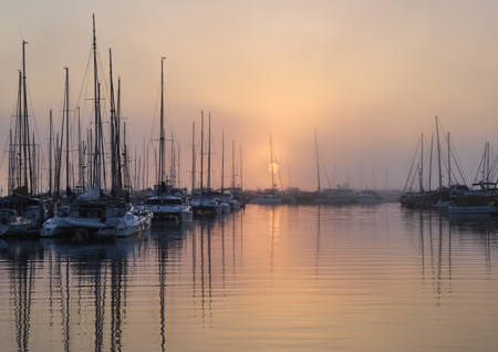 Marina Morning Fog