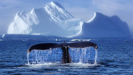 The Beauty Of The Dynamic 1