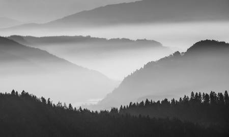 Layers Of Silence