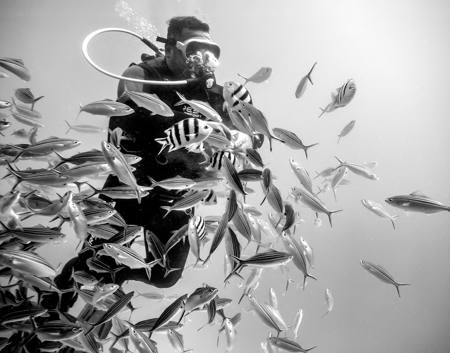 Lord Of The Fishes 3