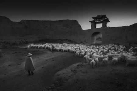 Graze Back To Ancient City