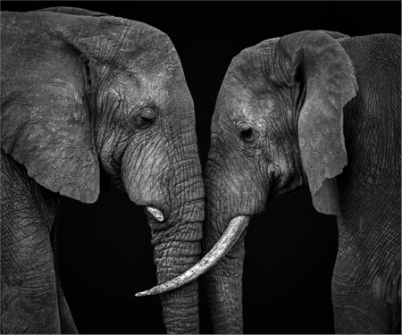 The Power Of Connections