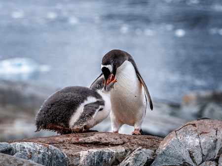 Rocks, Ice & Resolve