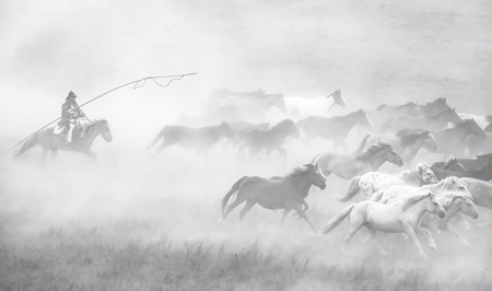 Bringing The Herd Home