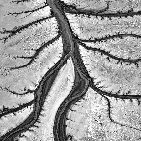 Branching Waterways
