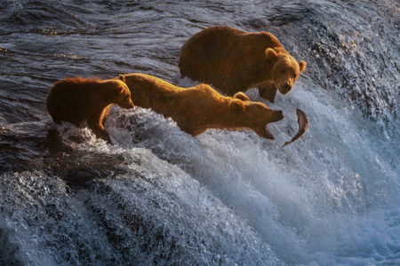 Mama Catching A Fish