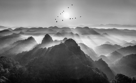 Startled Birds Over Mountains