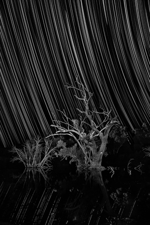 Star Trails Over The Barcoo