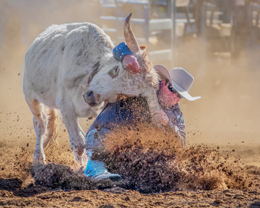 Steer Wrestling