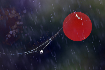 Broken Net Makeup 12