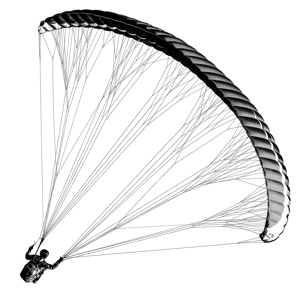 Paraglider