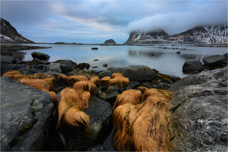Lofoten Winter Colours 11