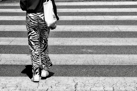 Zebra Crossing