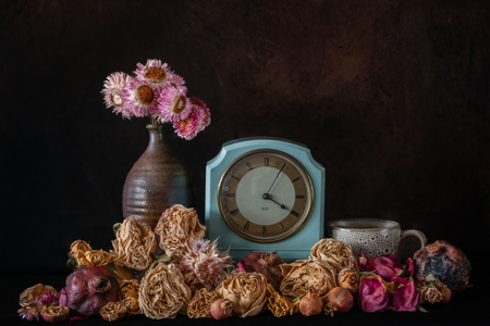 Petals At The Edge Of Time