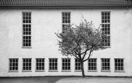 Window Frames Create Lines