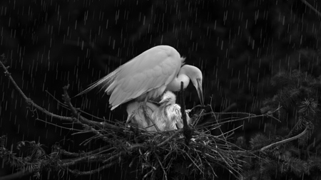 Protect With Body M03