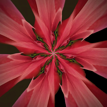 Pink Flower Abstract With Green