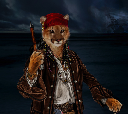 Puma Pirate