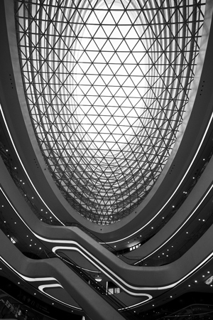 Flower Of Galaxy Soho