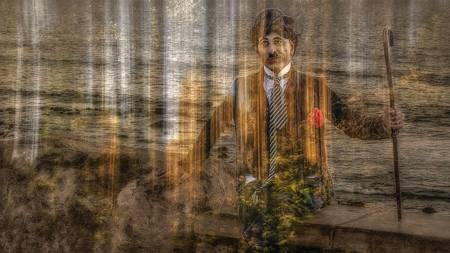 From The Forest To The Sea