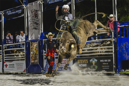 All Star Bullrider