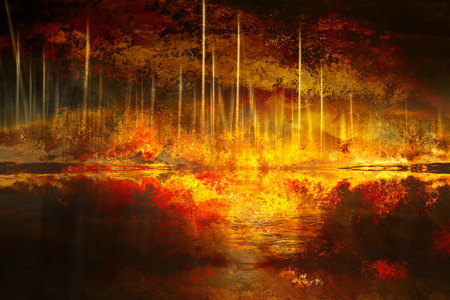 Fire At The Boat Harbour