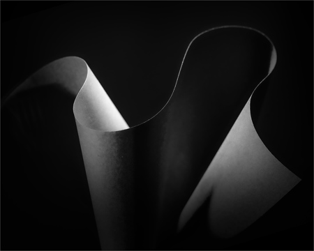 Beauty Of Black No 2