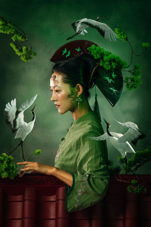 Green Pine Trees And Cranes