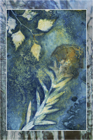 Marysville Botanicals3