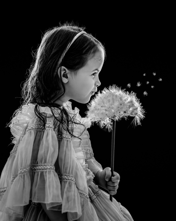 Where Dreams Take Flight