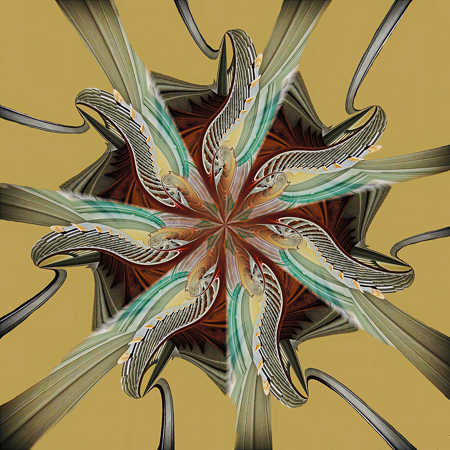 Seven Stairway Curls