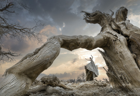 Dance With Desert Poplar