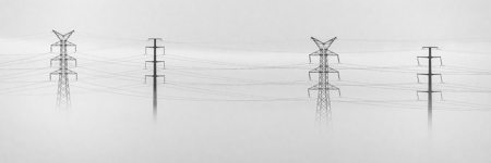 Lines In The Fog
