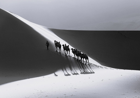 In Search Of An Oasis